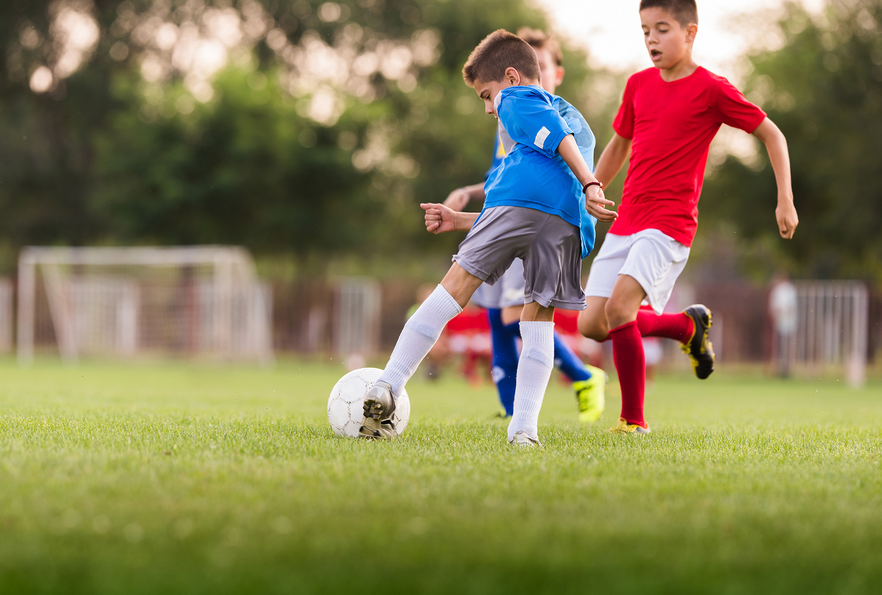 22 練馬区小学生サッカーチーム強豪６選 それぞれの違いは スポスルマガジン 様々なスポーツ情報を配信