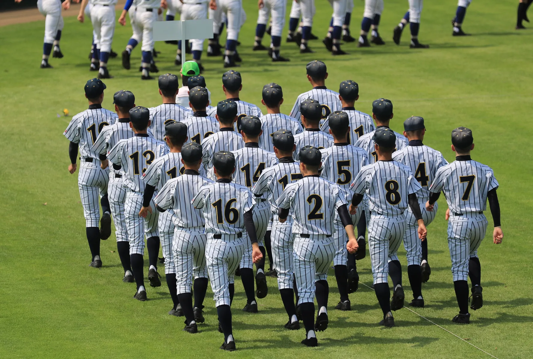 【甲子園】プラカードを持つ高校は？始めた時期や背景についても