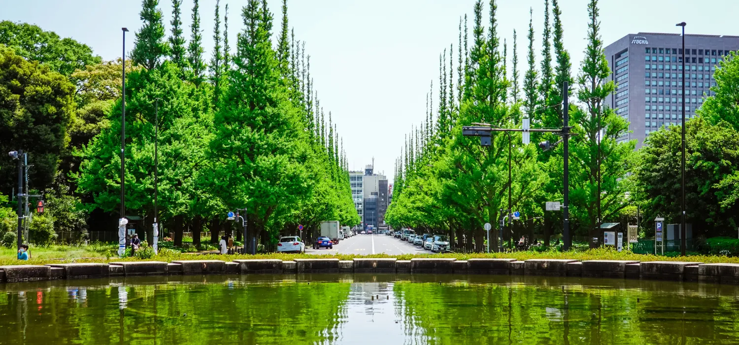 【東京】ランニングコースおすすめ１５選！最高の景色を楽しもう！③