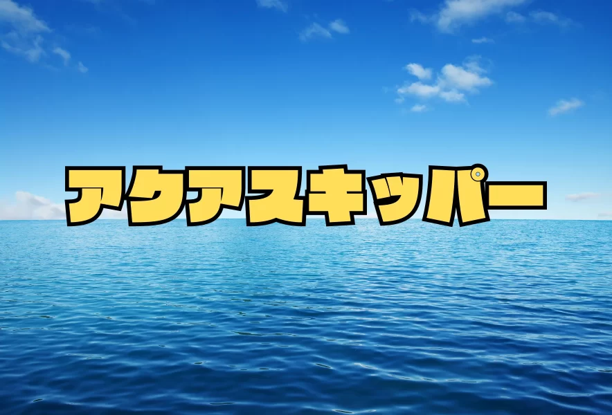 アクアスキッパー】新しい水上スポーツ！安全な始め方とおすすめ 